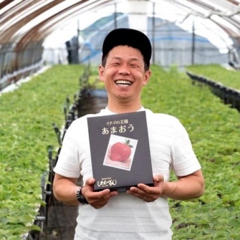 いちご 1月配送 しあわせもん あまおう 化粧箱 1箱 いちご職