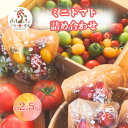 【ふるさと納税】【期間限定(発送可能時期は11月～6月)】三須トマト農園　ミニトマト詰合せ　2.7kg　国産　 ※お届け日指定不可