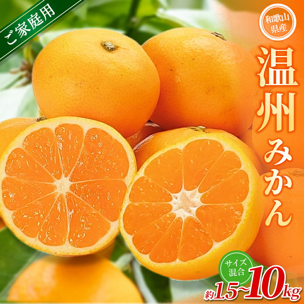 【ふるさと納税】【家庭用】 森本農園の手選別 みかん 約1.5～10kg 和歌山県産 2S~2Lサイズ混合 【北海道・沖縄・離島配送不可】【2026年10月中旬～2027年2月中旬ごろに順次発送】 みかん 蜜柑 フルーツ 果物 くだもの 食品 人気 おすすめ 送料無料