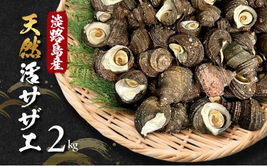 
                  天然 活サザエ 2kg サザエ さざえ 貝 貝類 魚介 魚介類 海鮮 海鮮セット 刺身 お刺身 つぼ焼き 淡路島 洲本市　お届け：6月上旬～3月上旬 [№5395-0290]
                