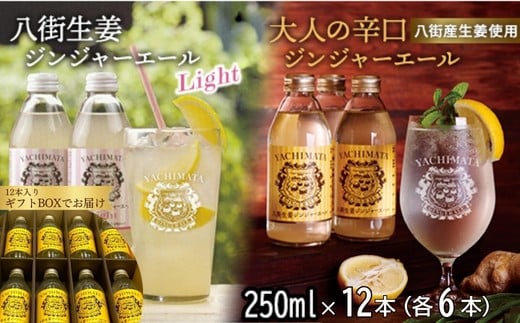 
            ギフトボックス入り 八街生姜ジンジャーエール ２種セット 飲み比べ 八街生姜ジンジャーエールLIGHT ＋八街生姜ジンジャーエール（12本セット） ジンジャーエール 贈答用 ギフト ギフト用 生姜 八街 ジュース ジンジャー 炭酸飲料 生姜 国産  千葉
          