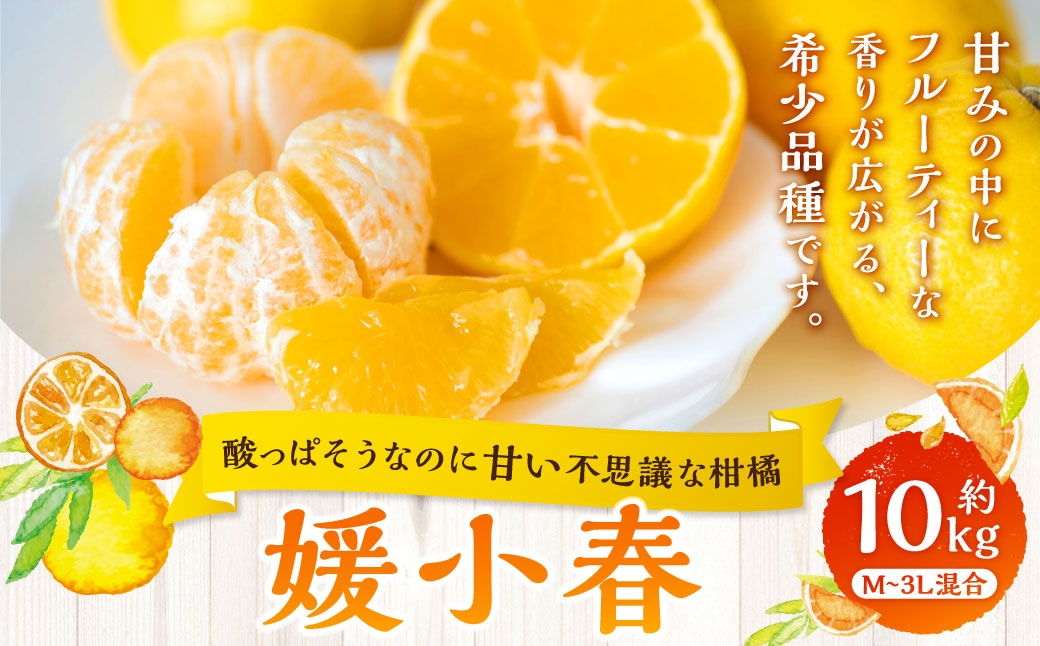 
                  【 酸っぱそうなのに甘い不思議な柑橘 】 媛小春 約10kg みかん ミカン 柑橘 柑橘系 柑橘類 くだもの 果物 フルーツ 果実 果汁 果肉 国産 愛媛県産 薄皮 【 2027年1月下旬～3月下旬発送予定 】 ( 1087 )
                