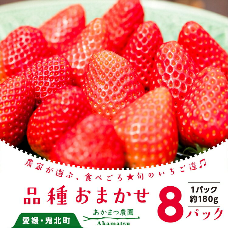 【ふるさと納税】【2027年春収穫分】【品種お任せ】 いちご8パック｜ レッドパール 紅い雫 紅ほっぺ イチゴ 苺 フルーツ あかまつ農園 ※2027年2月～発送