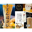 【ふるさと納税】情熱うどん 荒木伝次郎 半生うどん 300g 3袋 900g (6～9人前) 本格 讃岐うどん ふるさと納税 うどん 本場の味 饂飩 お取り寄せ 伝統製法 麺 ミシュラン ビブグルマン 香川 宇多津　宇多津町