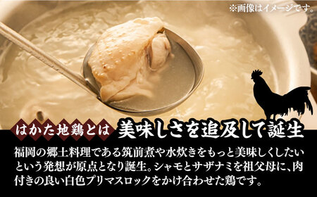 はかた地鶏モモムネセット 2kg（1kg×2p）《豊前市》【MEAT PLUS】鶏 鶏肉 もも 胸 [VBB038]