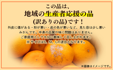 訳あり 山北みかん ご家庭用 約5kg（約40～60個） 山北みらい - 果物 フルーツ 柑橘類 温州みかん ミカン 蜜柑 訳アリ わけあり 生産者応援 甘い おいしい 高知県 香南市 みかんみかんみ