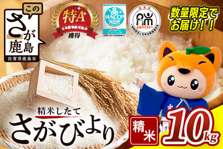 新米 令和7年産 佐賀県産 さがびより 10kg 白米【16年連続 特A評価】B-20