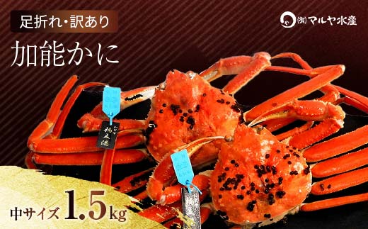 石川県産 加能かに ズワイガニ ( 産地証明タグ付 ) 訳あり 足折れ 中サイズ 2～3匹 合計1.5kg 1月20日～ 3月31日発送 産地証明 訳あり 家庭用 自宅用 足折れ 先行予約 予約 ブラ