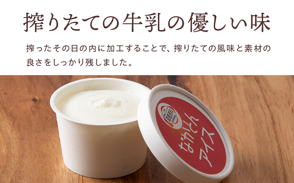 アイス セット アイスクリーム 10個 ギフト スイーツ