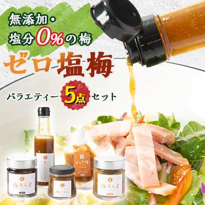 ふるさと納税 大和高田市 【特許製法!無添加・塩分0%の梅】ゼロ塩梅　バラエティー5点セット!