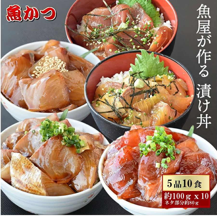 漬け丼 5種×2パック 計10食セット 冷凍 小分け