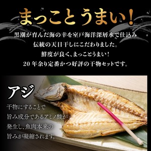 【定期便 偶数月6回】 干物 黒潮セット アジ 5枚 鯵 アジ あじ カマス 5枚 かます トロカマス スルメイカ 1枚 冷凍 人気 干物 詰め合わせ 大容量 海鮮 魚介 白身魚 室戸海洋深層水 高知