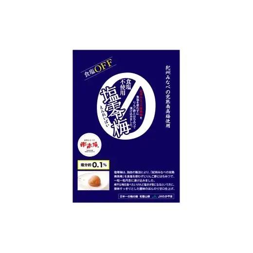 N073　塩零梅