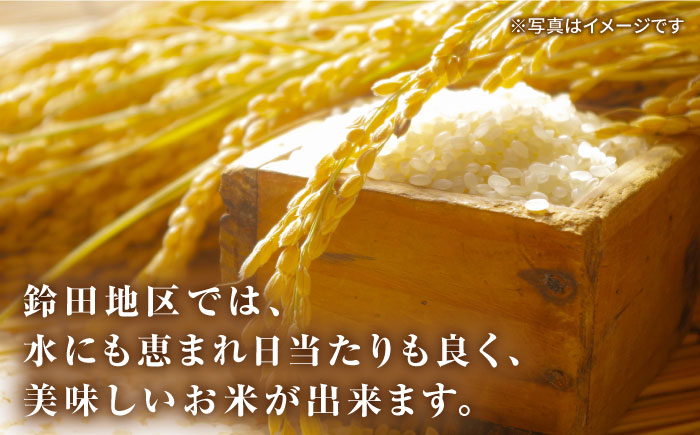 【10月発送】ひのひかり5kg  白米 米 長崎県産 大村市 鈴田峠農園 [ACAJ008]