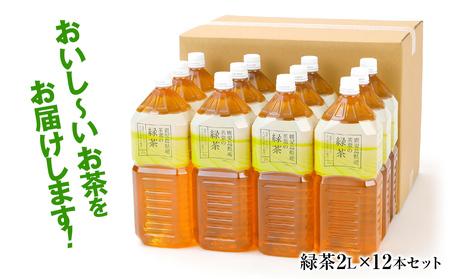 お茶 ペットボトル おいし～い緑茶 2L×12本 お茶