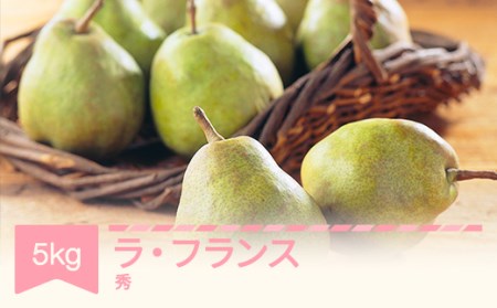 【ふるなびWEEK対象】先行予約 ラ・フランス 約5kg 秀品 令和8年産 mm-lasxx5