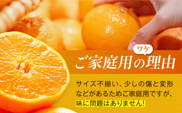 【先行予約】【2026年2月中旬から順次発送】甘平 10個前後【ご家庭用】  愛媛県大洲市/西村農園 みかん ミカン えひめ かんぺい 柑橘 [AGDC004]