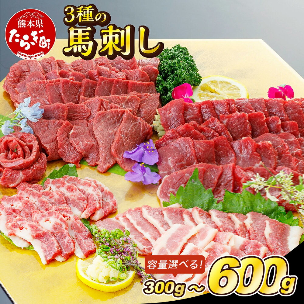 【ふるさと納税】3種 の馬刺し(赤身・フタエゴ・サガリ 各100g) 300g / 600g 小袋醤油付 馬刺し 冷凍 馬肉 定番 熊本県 熊本 多良木町 ばさし 肉 3種 盛り合わせ バラエティ お取り寄せ グルメ 熊本県 多良木町 送料無料
