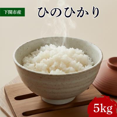 ふるさと納税 下関市 ひのひかり 5kg 米 下関 LO001