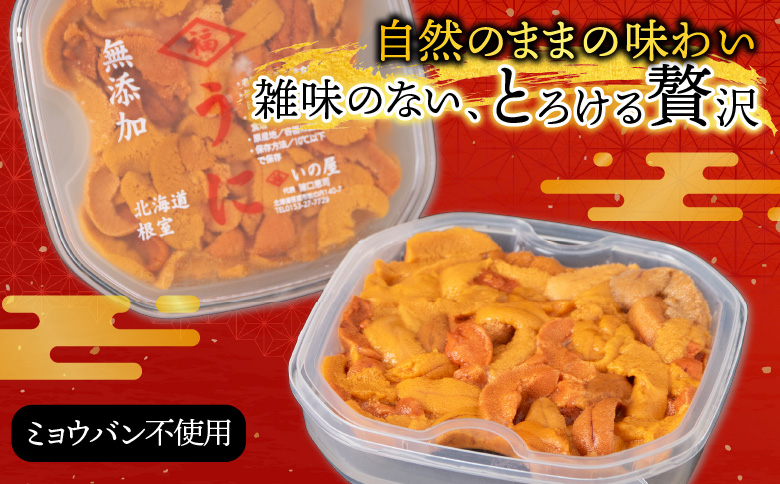 バフンウニ(赤系)塩水パック95～105g×2P[10月中旬以降発送] B-74002