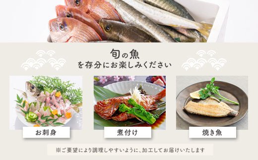 【C09002】【3回定期便】魚屋さんの選んだ新鮮お魚詰め合わせ（約4人分）_イメージ3