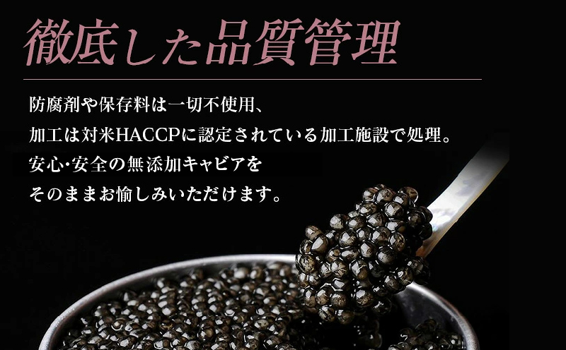 【ANA限定】宮崎キャビア1983 30g 魚卵 魚介 国産 食品 加工品 黒いダイヤ 日南市産チョウザメ 世界三大珍味 おつまみ ご褒美 記念日 お祝い パーティー オードブル ギフト 贈り物 プレ
