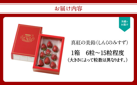 ★予約受付★希少品種！黒色いちご「真紅の美鈴（しんくのみすず）」　1月～4月に順次配送【A063】