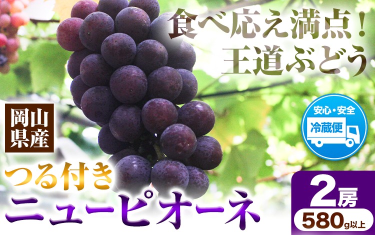 岡山県産ニューピオーネ 2房（580g以上） 先行受付 《9月中旬-10月下旬頃出荷》 【配送不可地域あり】---H-76---