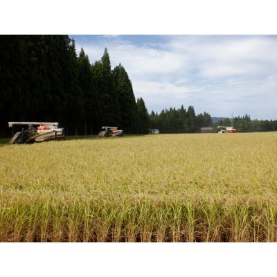 ふるさと納税 十日町市 令和6年産 魚沼産【新之助】精米2kg |  | 03