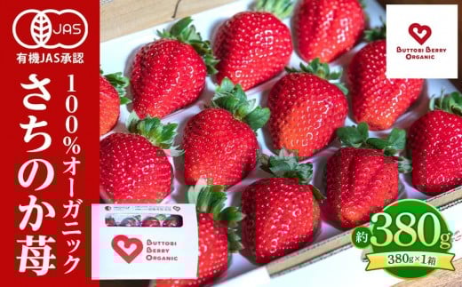 とくしまオーガニックいちご 大粒12～15粒（約380g）１箱｜いちご 果物 フルーツ 苺 人気 無農薬 期間限定 人気 ギフト プレゼント 贈答 ケーキ グルメ デザート おやつ お菓子 送料無料