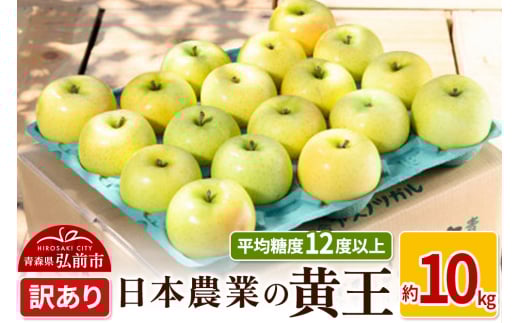 りんご 【先行受付】平均糖度12度以上！ 黄王 約10kg 訳あり クール便