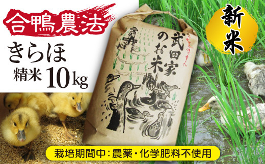 
《令和６年産》新米 武田家のお米 きらほ（精米）10kg＜合鴨農法＞【米農家 仁左ェ門】 / 米 白米 ５キロ ２袋 アイガモ
