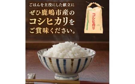 先行予約 令和8年産【3ヶ月定期便】 米 コシヒカリ 10kg × 3回 精米 鹿嶋市産