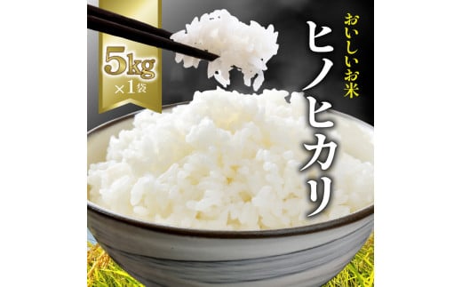 【ふるさと納税】お米　おこめ　コスパ　 ヒノヒカリ 5kg 1袋 コシヒカリの子孫 米 瀬戸内 白米 精米 白ご飯 ごはん おにぎり 食品 料理 国産 香川県 三豊市 お取り寄せグルメ お取り寄せ 送料無料  秋 旬