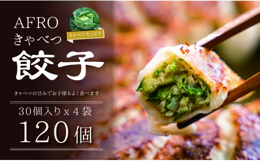 餃子 120個 (30個×4袋) きゃべつ 肉 汁 豚肉 国産 食品 小分け 大容量 キャンプ 野菜 やさい 弁当 惣菜 おかず おつまみ 簡単調理 贈答 贈り物 プレゼント ギフト お取り寄せ グルメ 家庭用 送料無料 ふるさと納税 ふるさと納税ぎょうざ ふるさと納税餃子 千葉県 銚子市 くるくるやっほー