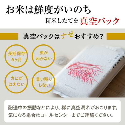 ふるさと納税 千歳市 北海道産ななつぼし 5kg(真空パック5kg×1袋) 特A お米 千歳 北海道米 |  | 01