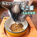 【ふるさと納税】 自然食材 ペットフード 3袋 お魚ふりかけ1袋付 安心安全 犬猫用 パウチ レトルト ペット用品 ワンコとニャンコのご飯 【送料無料】