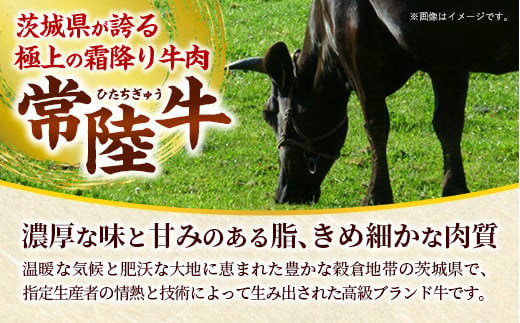 【お肉好きが注目する超人気店】「ミート矢澤」の茨城県産 常陸牛100％フレッシュハンバーグ 160g×4個（ソース付き）【8月下旬より順次配送】（茨城県共通返礼品・常陸牛使用）ハンバーグ 惣菜 黒毛和