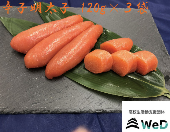 画像は参考画像です。