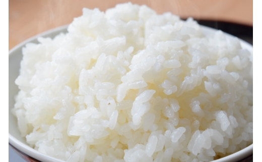 米 令和8年 のと米 能登こしひかり 30kg 3回 定期便 [能登わかば農業協同組合 石川県 中能登町 nk17bth130017] 令和8年産 新米 こしひかり コシヒカリ 定期 3ヶ月 30キロ