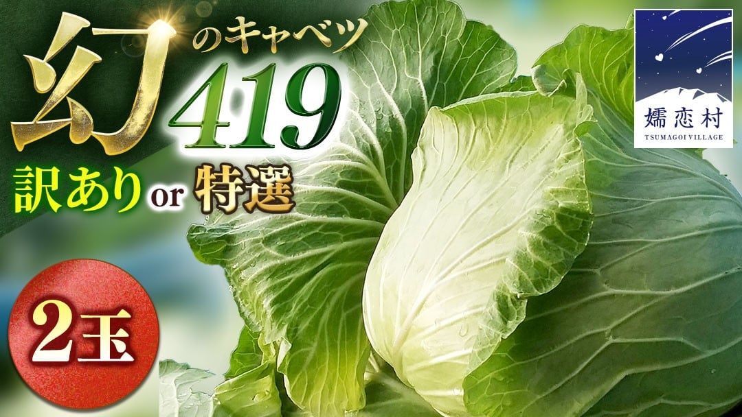 
                  【7月中旬発送開始】 まぼろしの419キャベツ 2玉 きゃべつ 嬬恋村産キャベツ 羽生田売店 幻のキャベツ419 産地直送 期間限定 先行予約 人気 朝採り 通販 お取り寄せ 関東 群馬 出荷時期限定 先行受付 [AL020tu00]
                