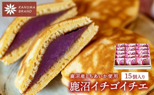 
            鹿沼イチゴイチエ（15個入）
          