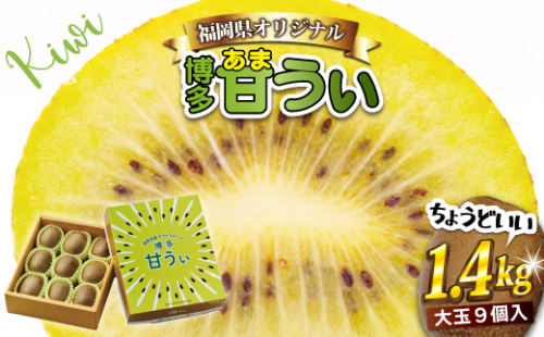 【2026年11～12月出荷】福岡県ブランドキウイフルーツ「博多甘うぃ」化粧箱大玉9玉約1.4kg[G2279]