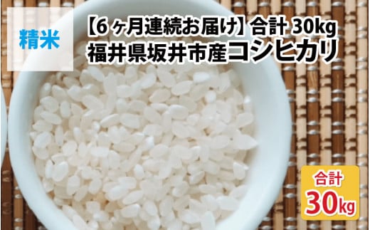 【先行予約】【令和7年産・新米】【6ヶ月連続お届け】福井県坂井市丸岡町産 コシヒカリ5kg×6回　計30kg（精米）【2025年10月より順次発送予定】 [I-11302_03]