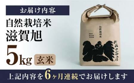 【全6回】自然栽培米滋賀旭 　5kg玄米×6回[AQCP049] 玄米