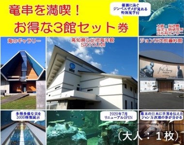 水族館・資料館・展示館　ぐるっと竜串　お得な3館入場券セット（大人１名用）【R00107】