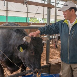 【5ヶ月/ 定期便 】きたかみ牛 牛肉 贅沢コース A5 A4 人気 肉 牛ロース 上カルビ モモ カタ バラ すき焼き 焼肉 BBQ お歳暮 忘年会 贈答用 岩手県 北上市 P0022 （お肉のたか