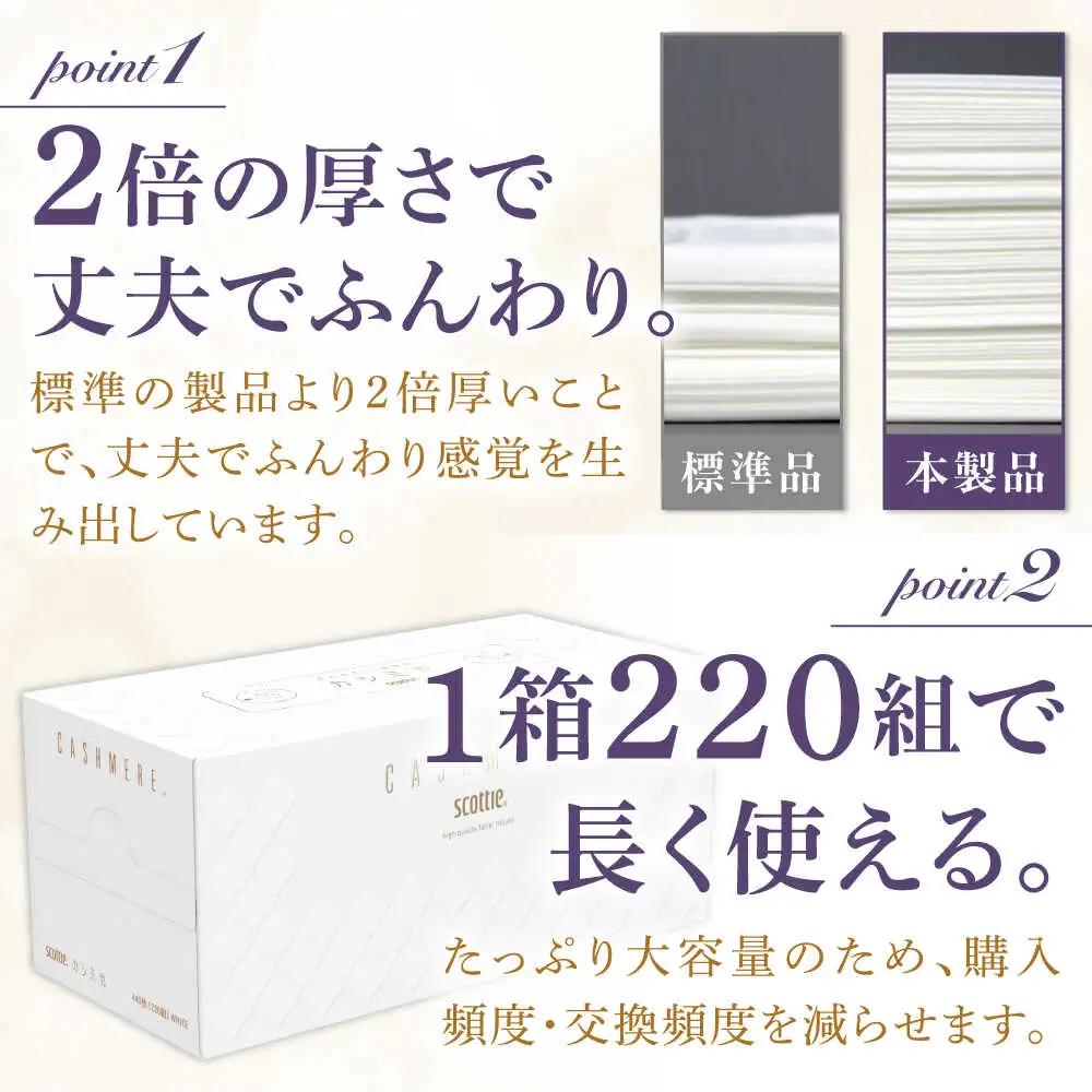 カシミヤスコッティ 10箱 ティッシュ ティッシュペーパー[BDAM020]