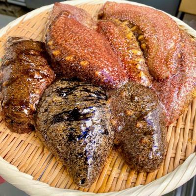 ふるさと納税 南あわじ市 【花光】【あわじ島冬の珍味!身の柔らかい赤ナマコを活きたまま発送】淡路島産 赤なまこ(活)約1.5k |  | 02