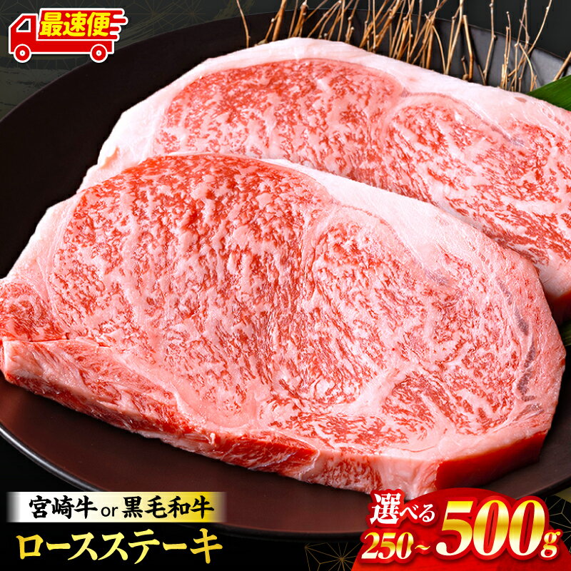 【ふるさと納税】総合1位・ジャンル1位【数量限定】【内容量・発送時期が選べる】畜産農家応援！宮崎牛or黒毛和牛 ロースステーキ 牛肉 肉 お肉 牛 宮崎牛 黒毛和牛 和牛 ロースステーキ 焼肉 ロース ステーキ ステーキ肉 ギフト おすすめ 人気 ミヤチク ふるさと